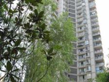 大龙山轻轨站楼上精装修业主急售