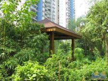 逸静丰豪 2室1厅 南