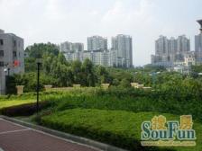 老闵行高品质小区置换天花板南门距东川地铁站200米