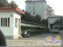 内中环 双地铁 电梯中层住宅房