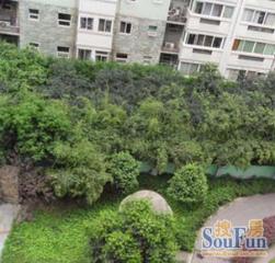 黄忠爱丽舍 2室1厅 西南