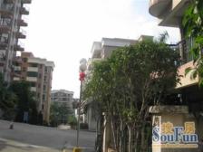 风景山庄步梯房81平米3房2厅2卫房东诚意出售