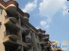 风景山庄低层三房 光线好 位置安静 ,小区管理也不错