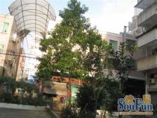 天马城一期 3室2厅 东