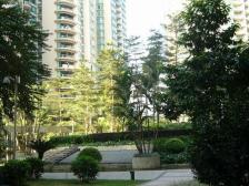 小区花园中间位置 前后看小区水池 诚意出售