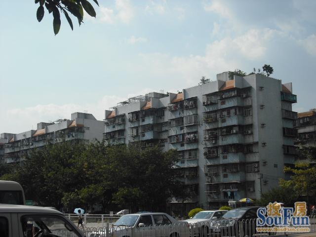 香蜜湖家属楼商铺