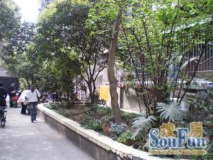 抚琴西路199号3室2厅西南
