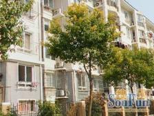 低总价,低预算,两房户型。采光好