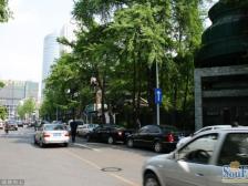 高升桥南街3号 2室1厅 东南