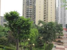 冉家坝 天一新城三房143万