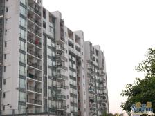 房子户型方正采光好,高楼层视野好,业主诚心卖。