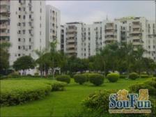 源深·阳升公寓·1室·1厅