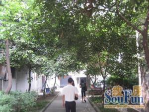 玉林苑一期2室1厅南