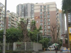 棕东小区2室1厅东西