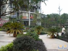 缙云峰景 2室1厅 东南