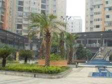 步行街旁精装两房,出行方便配套齐全,有 指 标