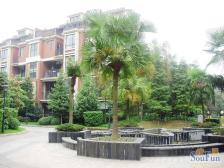 急售一楼带大花园.精装修带地暖