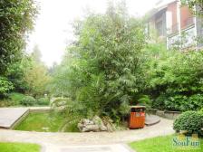 户型方正,采光也很好,楼层合适。