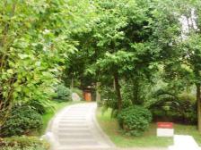 端户带200平大花园 蔡家 香溪美林