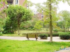 户型方正,采光也很好,躺着就可以看到星星