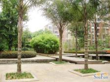 巨豪香溪美林 3室1厅 东南