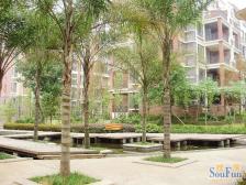 香溪美林洋房带露台 可以装自己喜欢的风格