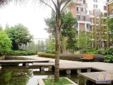 蔡家 香溪美林一期四房95万