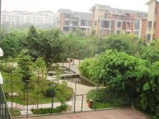 洋房区里的小高层 2改3户型 采光好