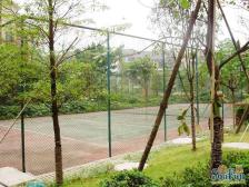 两江新区蔡家,园林社区花园洋房,清水易改造