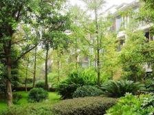 房子上下两层带双露台.住家安静,环境优美