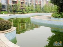 巨豪香溪美林 5室2厅 南 北