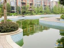 此房满两年,户型方正,小区环境优美