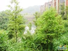 此房有三层楼.顶跃.带有两个私家露台精装修