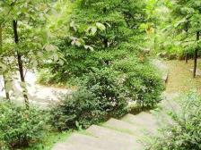 香溪美林电梯三房 一梯两户 视野开阔