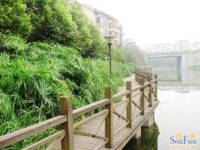 户型方正,采光也很好,楼层合适