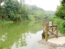 房子上下两层带双露台.住家安静,环境优美