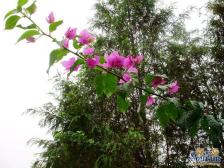 房子上下两层带双露台.住家安静,环境优美