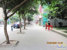 满五唯一 商品房出让地 三房双卫 电梯房 精装修