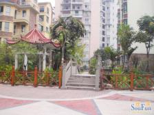 轻轨站旁,二室一厅,68万,小区环境优雅,绿化好。