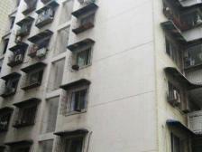 饮水村 1室1厅 南