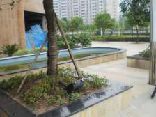 渝复竹芸山水 3室2厅 南 北