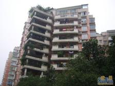 近轻轨近车站园林小区朵力名都三房业主诚心出售