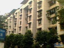 月光小区 经典户型 顶楼做的花园 种菜种花 诚心出售