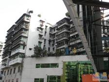 汉渝路 斌鑫大厦二房75万