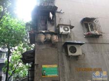 小龙坎 电台巷三房