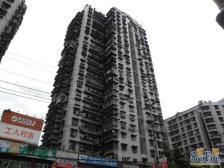 工人村 鸿兴大厦四房98万