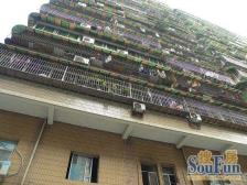 工人村 龙泉新苑二房45万