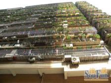 工人村 龙泉新苑二房61.8万