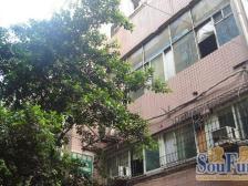 三峡广场 南友村三房92万