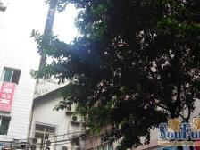 三峡广场 南友村二房47万